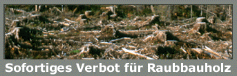 Sofortiges Verbot für Raubbauholz